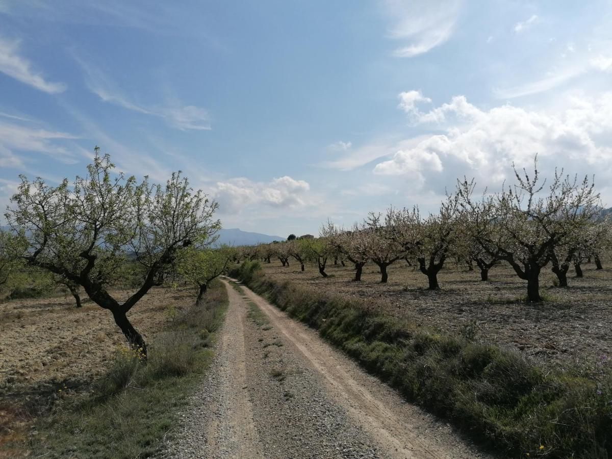 Habitaciones En Finca Olivo Y Almendro Ucenda Eksteriør bilde