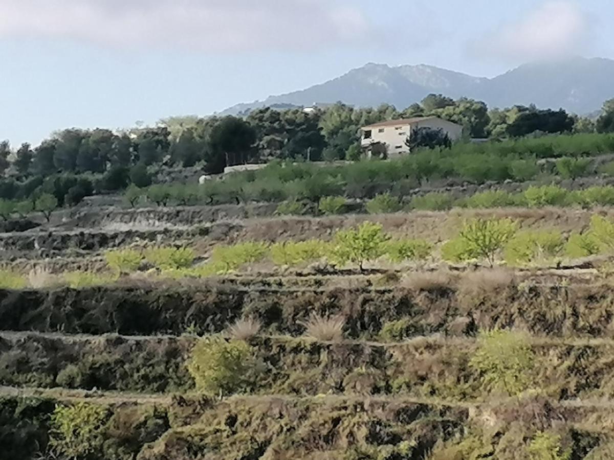 Habitaciones En Finca Olivo Y Almendro Ucenda Eksteriør bilde